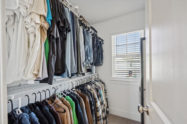 walk in closet with carpet flooring