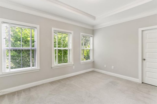 unfurnished room featuring crown molding, a tray ceiling, baseboards, and light colored carpet