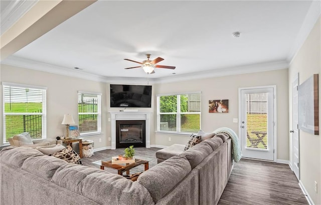 359 Crider Ct, Woodstock, GA 30188 - living room with dark wood-type flooring, ceiling fan, ornamental molding, baseboards, and a glass covered fireplace