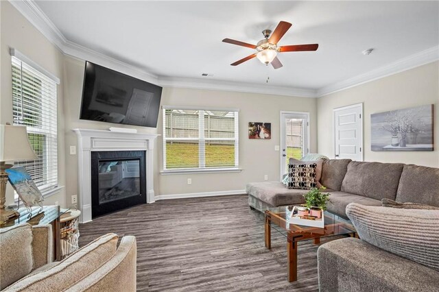 359 Crider Ct, Woodstock, GA 30188 - living room with wood finished floors, a ceiling fan, ornamental molding, a glass covered fireplace, and plenty of natural light