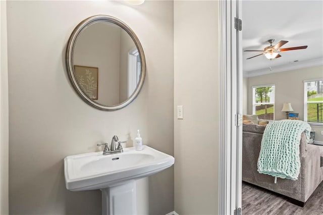 359 Crider Ct, Woodstock, GA 30188 - bathroom featuring a ceiling fan, wood finished floors, and crown molding