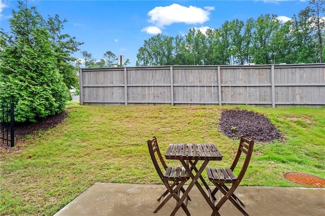 359 Crider Ct, Woodstock, GA 30188 - view of yard featuring a patio
