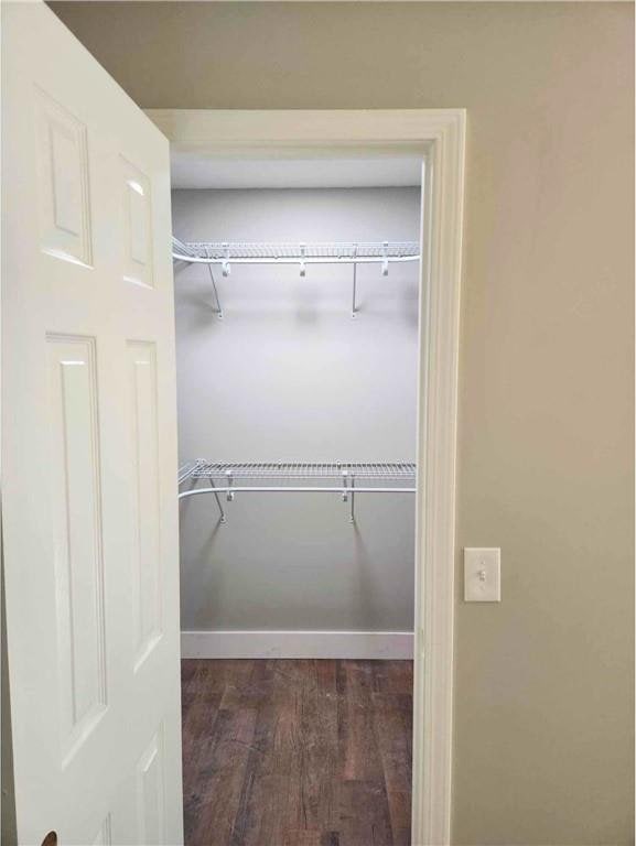 spacious closet with dark hardwood / wood-style floors