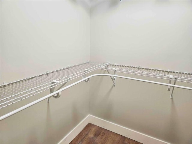 spacious closet with dark wood-type flooring