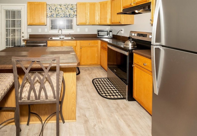 kitchen with appliances with stainless steel finishes, light hardwood / wood-style floors, and sink