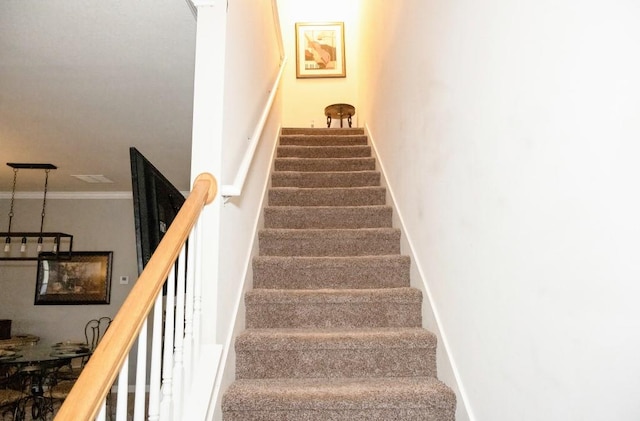 stairway featuring carpet floors and crown molding