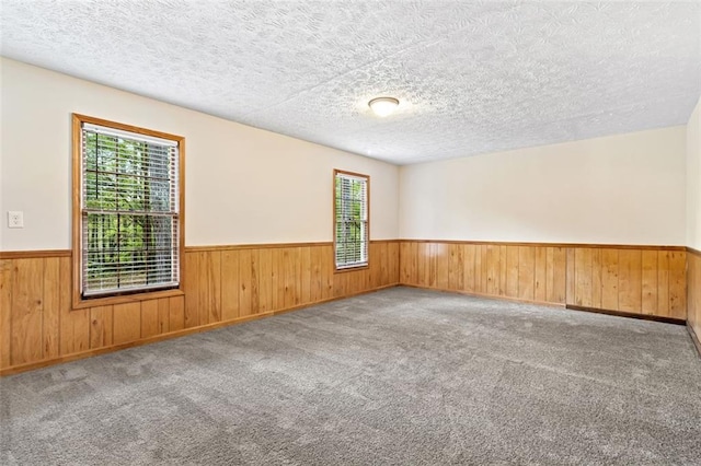 2199 Summertown Dr, Norcross, GA 30071 - carpeted empty room featuring a wainscoted wall, plenty of natural light, wood walls, and a textured ceiling