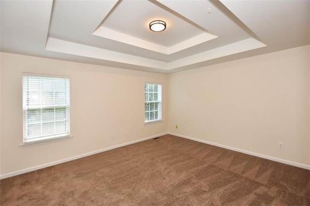 carpeted empty room featuring plenty of natural light and a raised ceiling