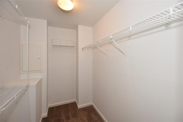 spacious closet featuring dark colored carpet