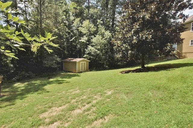 view of yard with a storage unit