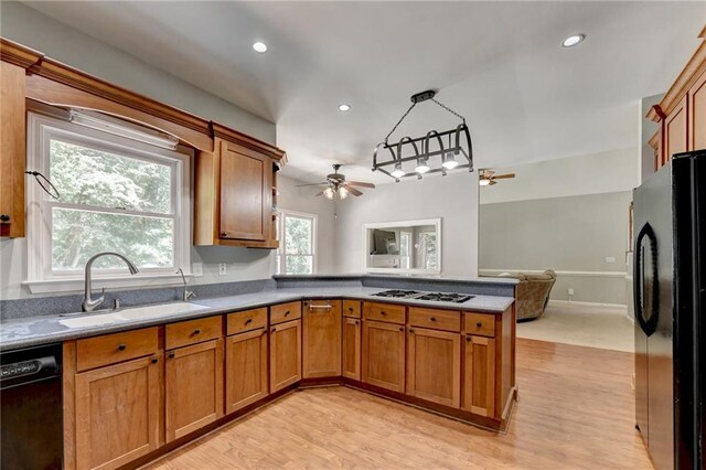 kitchen featuring black appliances, ceiling fan, light hardwood / wood-style floors, and sink