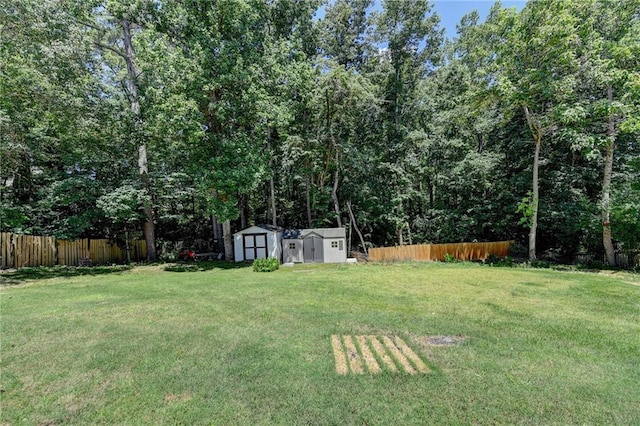 view of yard with a shed