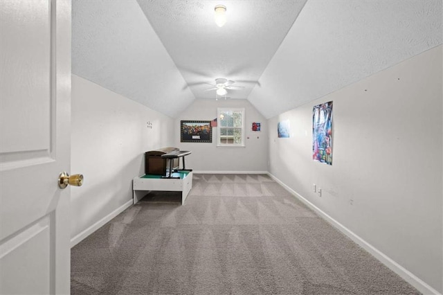 75 Mcpherson Ln, Bremen, GA 30110 - additional living space featuring carpet, a textured ceiling, lofted ceiling, and a ceiling fan