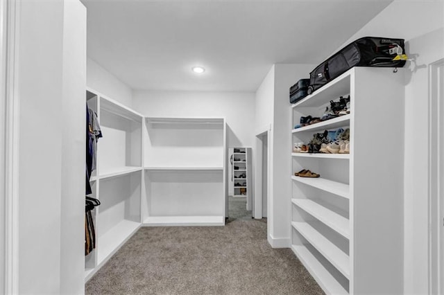 1021 Windsor Creek Dr, Madison, GA 30650 - walk in closet with carpet