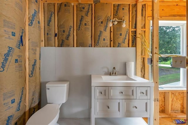 1021 Windsor Creek Dr, Madison, GA 30650 - bathroom with plenty of natural light and vanity