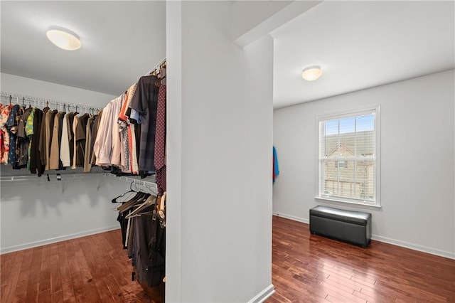 spacious closet featuring wood-type flooring