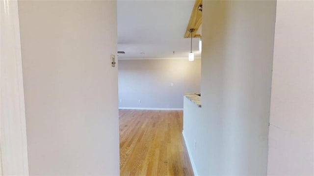 corridor with light hardwood / wood-style floors and ornamental molding