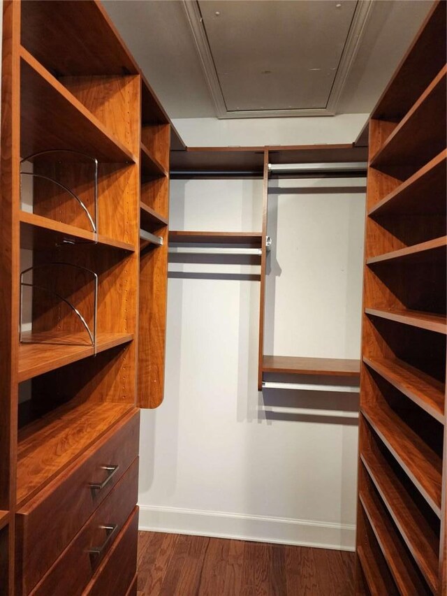 walk in closet featuring dark wood finished floors