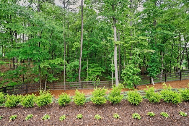 131 Forsyth Park Ln, Woodstock, GA 30188 - view of nature