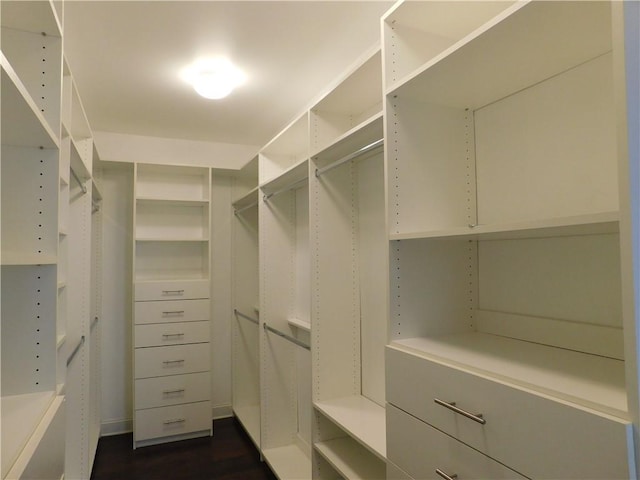 330 La Perla Dr, Sugar Hill, GA 30518 - view of walk in closet