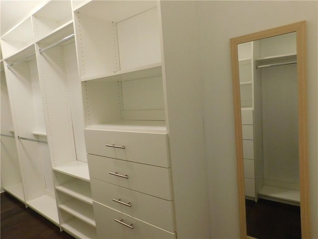330 La Perla Dr, Sugar Hill, GA 30518 - spacious closet with dark wood finished floors