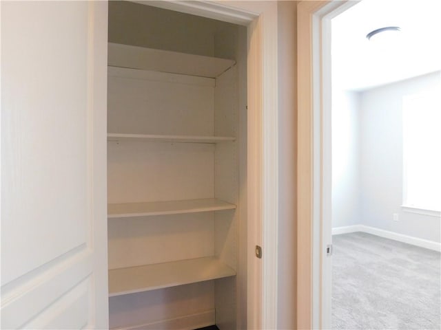 330 La Perla Dr, Sugar Hill, GA 30518 - view of closet