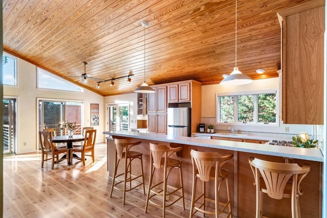 kitchen with light wood-style flooring, a healthy amount of sunlight, light countertops, and freestanding refrigerator