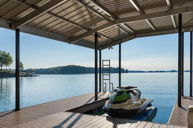 dock area with a water view