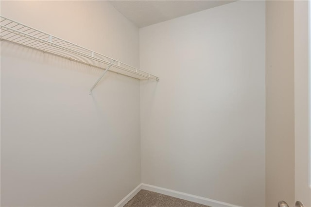 walk in closet featuring carpet floors