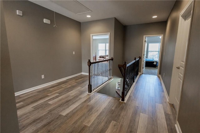 hall featuring wood-type flooring and a wealth of natural light