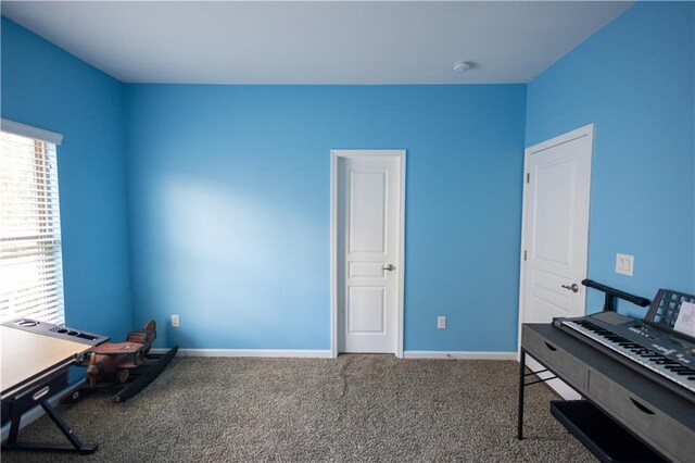 miscellaneous room featuring carpet floors