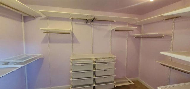 view of walk in closet