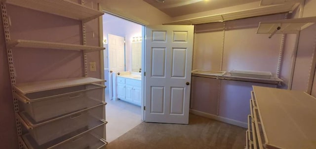 spacious closet featuring carpet floors