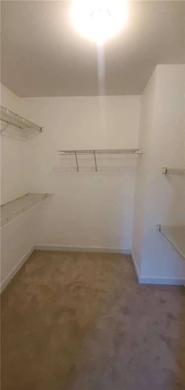 walk in closet featuring light colored carpet