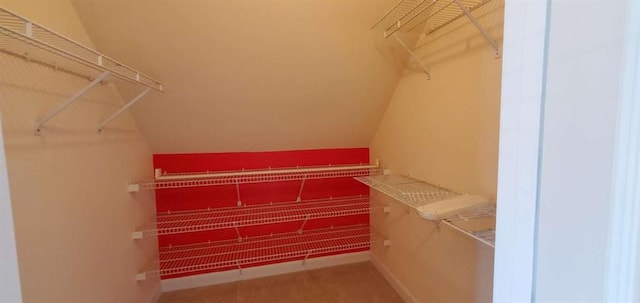 spacious closet featuring lofted ceiling