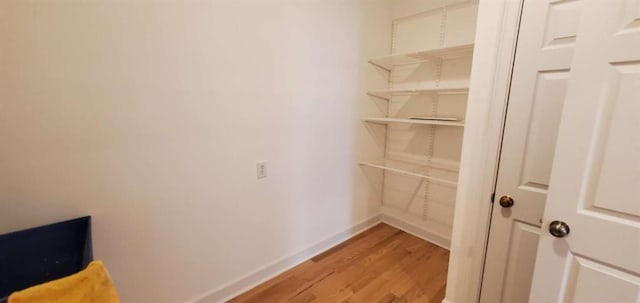 walk in closet with light wood-style flooring