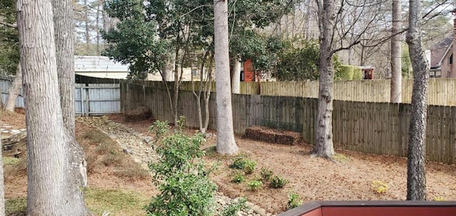 view of yard with a fenced backyard