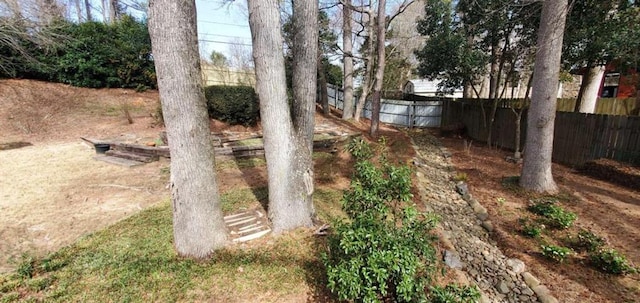 view of yard featuring fence