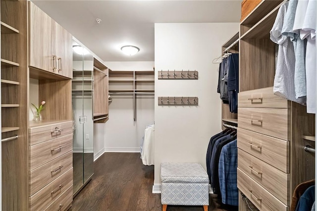 spacious closet with dark hardwood / wood-style floors