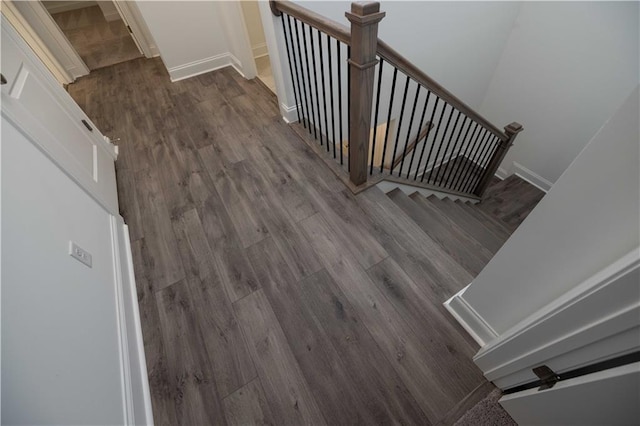 stairway featuring wood-type flooring