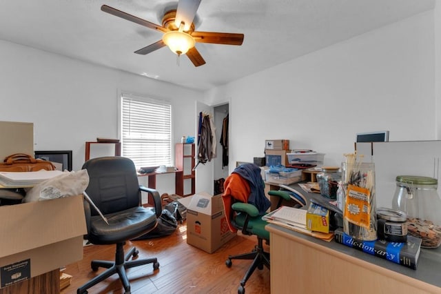 office space with ceiling fan and wood finished floors