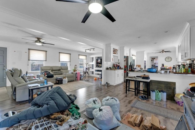 living room with a ceiling fan and wood finished floors