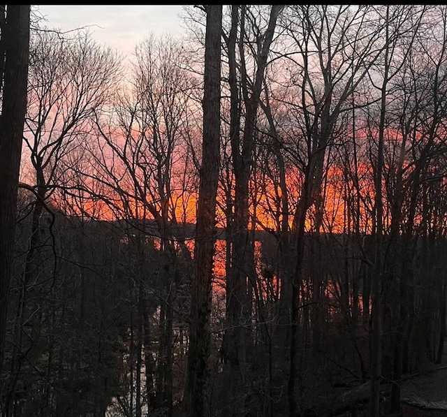 8525 Anchor On Lanier Ct, Gainesville, GA 30506 - view of nature at dusk