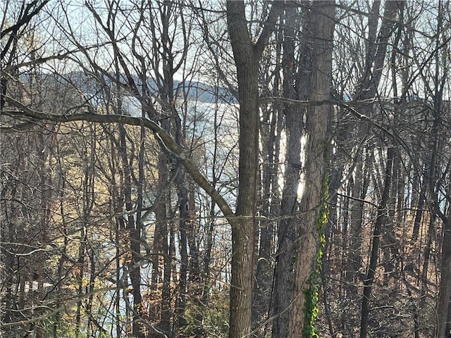 8525 Anchor On Lanier Ct, Gainesville, GA 30506 - view of nature with a view of trees