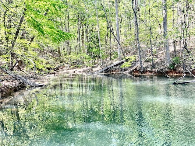 8525 Anchor On Lanier Ct, Gainesville, GA 30506 - view of water feature featuring a forest view