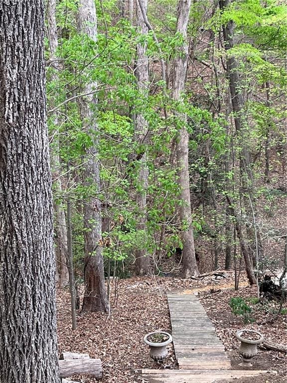8525 Anchor On Lanier Ct, Gainesville, GA 30506 - view of yard with a wooded view