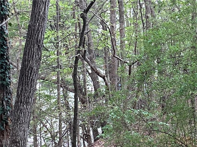8525 Anchor On Lanier Ct, Gainesville, GA 30506 - view of landscape featuring a forest view