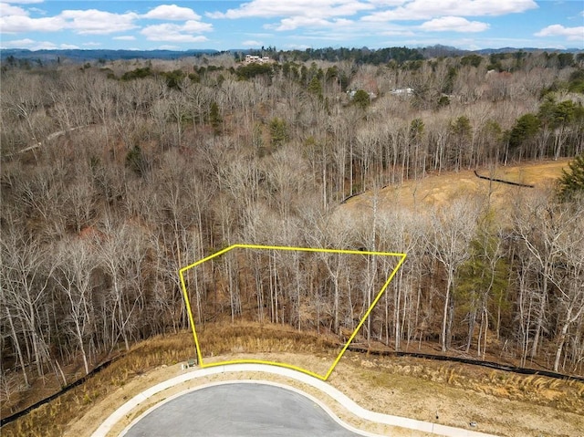 7070 Hammock Trl, Gainesville, GA 30506