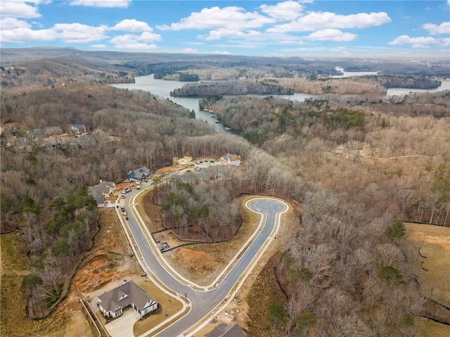 7070 Hammock Trl, Gainesville, GA 30506