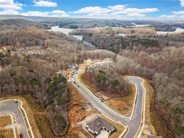 7070 Hammock Trl, Gainesville, GA 30506